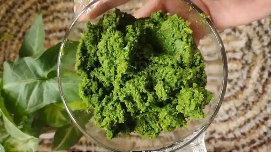 Salt, Siddu, and Solidarity: The Culinary Secrets of&nbsp;Ashtaad